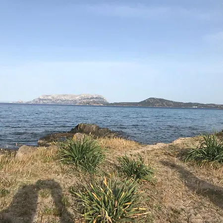 Апартаменты House *