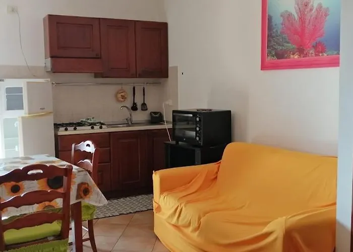 House * Ольбия