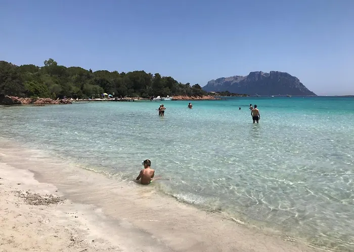 House Апартаменты *