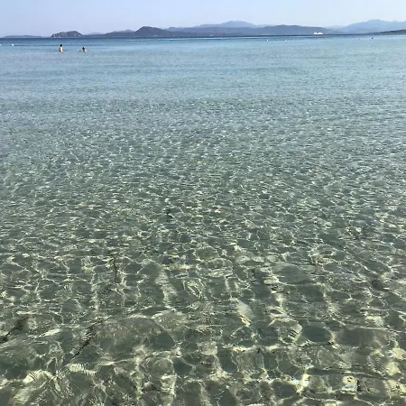 House Olbia